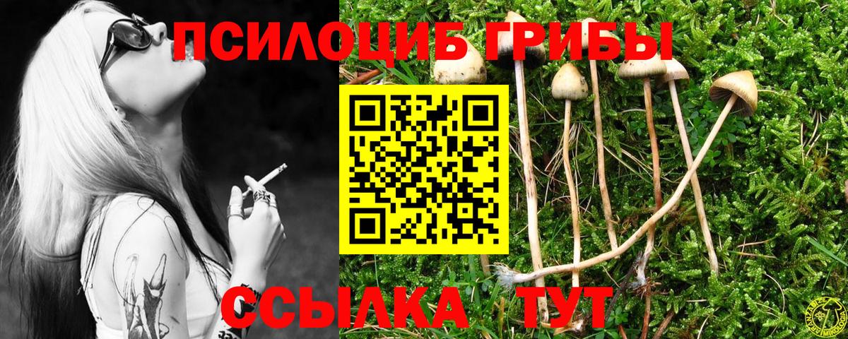 Ковров  как найти закладки  Вход с VPN  Галлюциногенные грибы Magic Shrooms 